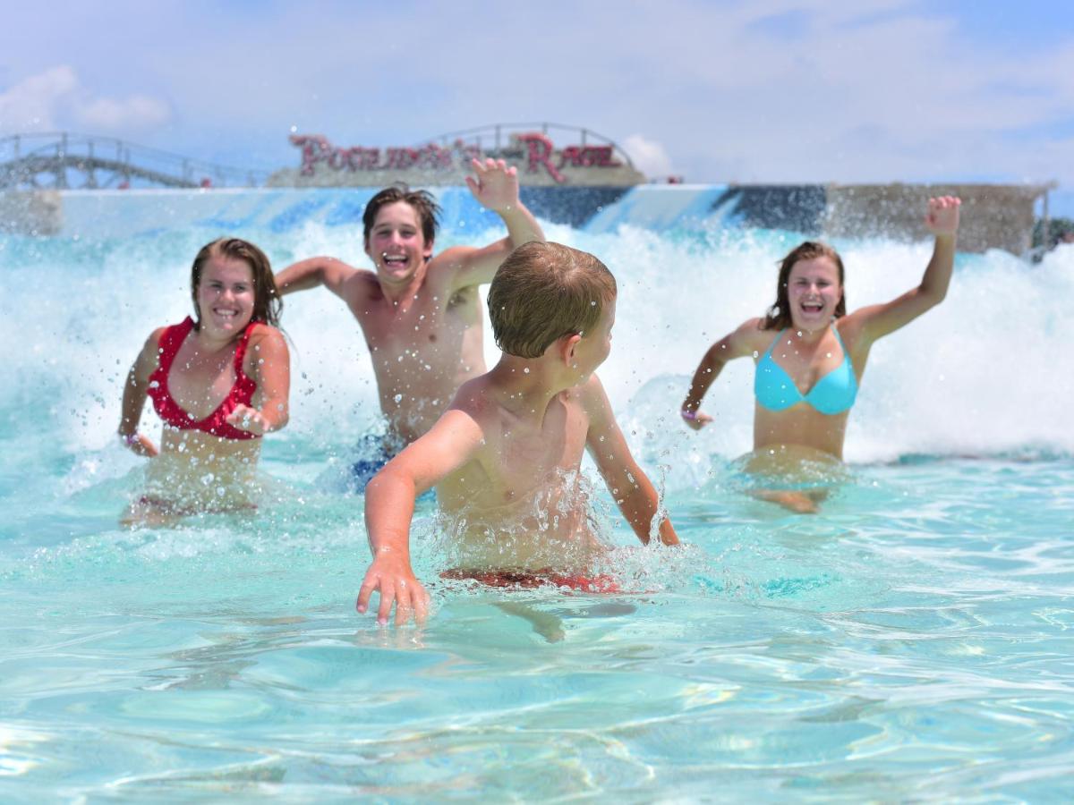 Hotel Mt. Olympus Water Park And Theme Park